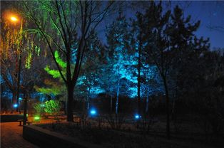 城市亮化工程之公園景觀照明設(shè)計